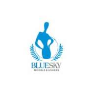 BlueSky Media Promotions