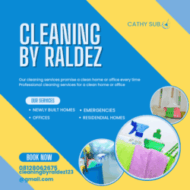 Cleaning by Raldez