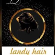 Landy hair empire