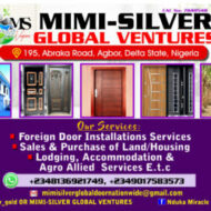 MIMI-SILVER GLOBAL VENTURES