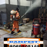Dampest Associate Limited