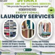 Smart Laundry and Cleaning Services
