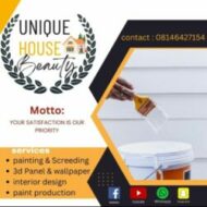 Unique house beauty painting & interior