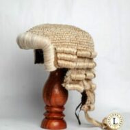 DIVINE TOBECHUKWU NWOYE ESQ.