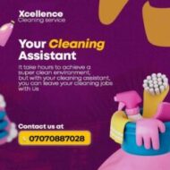 Dxcellent cleaning and laundry services
