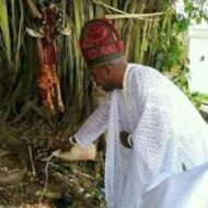 The Best Powerful Spiritual Herbalist Native Doctor IN Nigeria