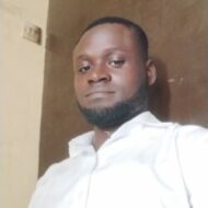 Ari's logistics service