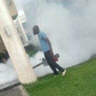 UPTIMUM FUMIGATION AND CLEANING SERVICES