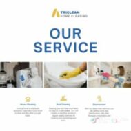 The_Triclean service