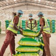 Olam Nigeria LTD