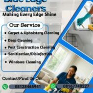 Blue edge cleaners
