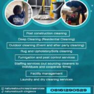 Natures Touch Cleaning Services