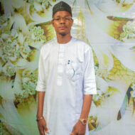 Adisa construct X