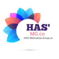 HAS'METICULOUS GROUP