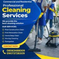 Sawilda Swift Clean