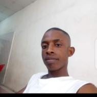 Home/office painter