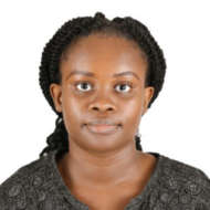 Synopsis Associates