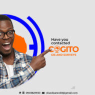 COGITO GIS AND SURVEYS