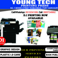 Young I.T Firm
