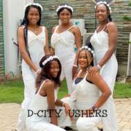 D-CITY USHERS PLUS