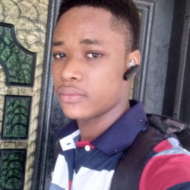 Software Developer