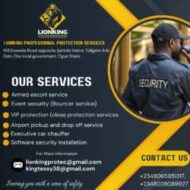 LIONKING PROFESSIONAL PROTECTION SERVICES