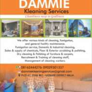 Dammie Kleaning Services
