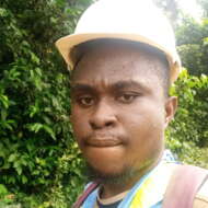 EHEIES SURVEY AND CONSTRUCTION COMPANY