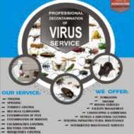 WemBod Global Services Nig Ltd