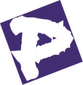 Picolink Technologies Services