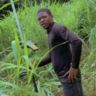 IFE Geomatics Innovations Nig ltd (Intel Maria)