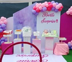 Ace kiddies party planner