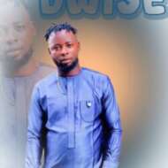 D Wise Entertainment